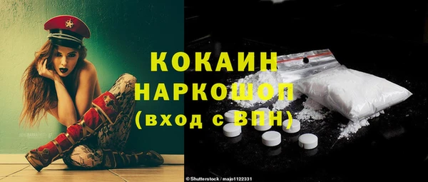 индика Белокуриха