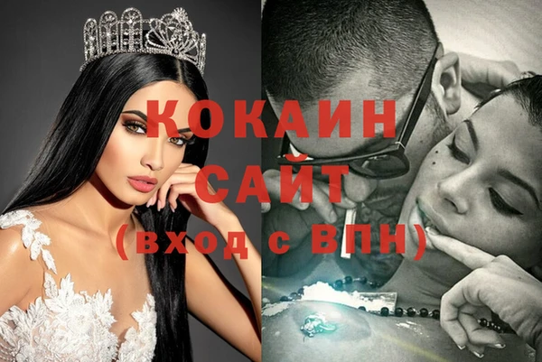 индика Белокуриха