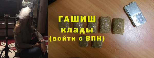 индика Белокуриха