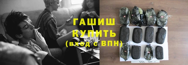 индика Белокуриха