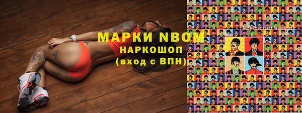 индика Белокуриха