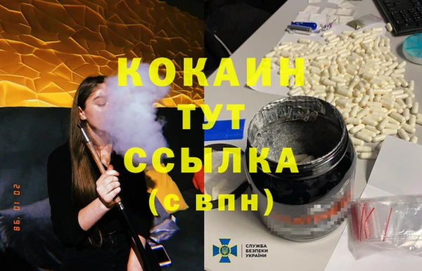 индика Белокуриха