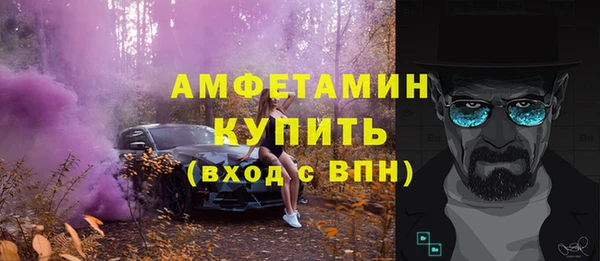 индика Белокуриха